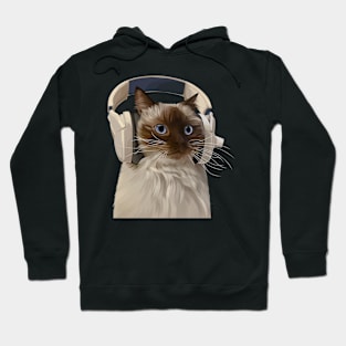 Cute cat an kittens Hoodie